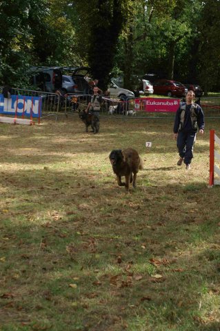 foire-haricots 2011-09-17et18